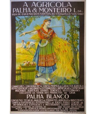 A AGRICOLA PALHA & MONTEIRO